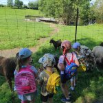 phoca_thumb_m_motlci vlet 14 Fotogalerie